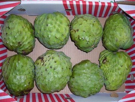 14custardapples.JPG