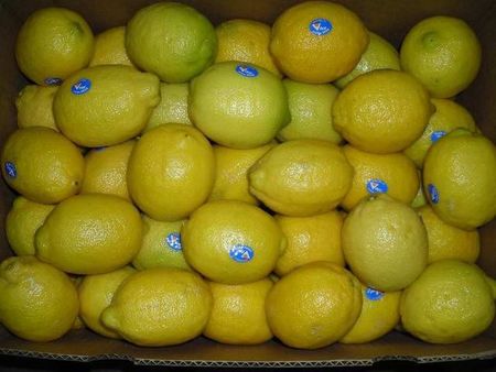 15lemons.JPG