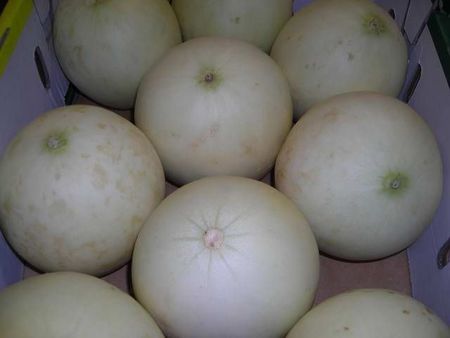 17honeydew.JPG
