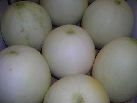 19honeydew.JPG