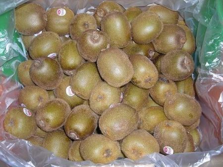 24kiwifruit.JPG