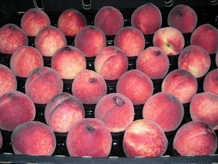 26peaches.JPG