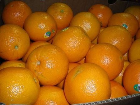 29oranges.JPG