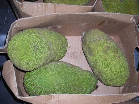 30jackfruit.JPG
