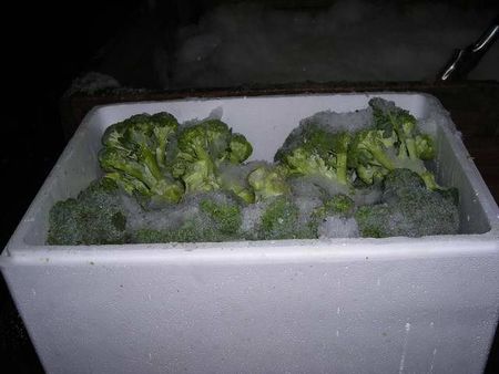34broccoli.JPG