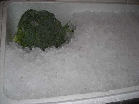 35broccoli.JPG