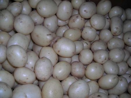 38potatoes.JPG