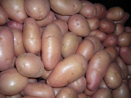 39potatoesred.JPG