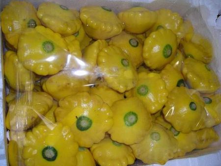 44squashmelons.JPG