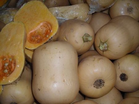46Butternut.jpg
