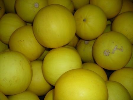 47Melons.jpg