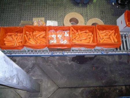 48Carrotsbelt.jpg
