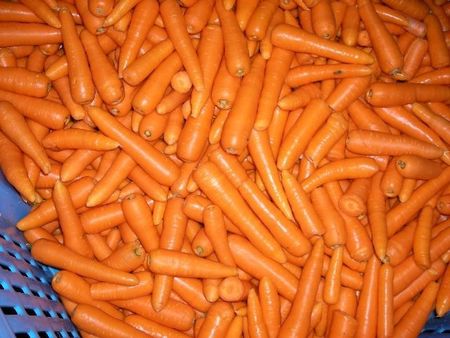 49Carrots.jpg