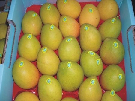 4mangoes.jpg