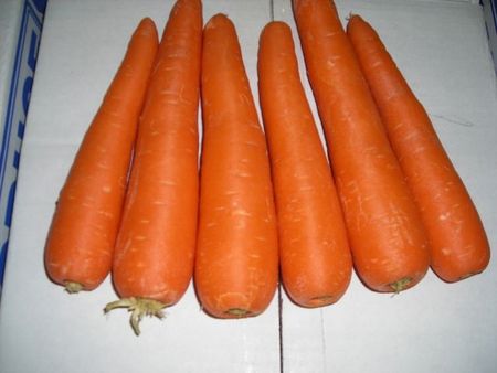50CarrotsMed.jpg
