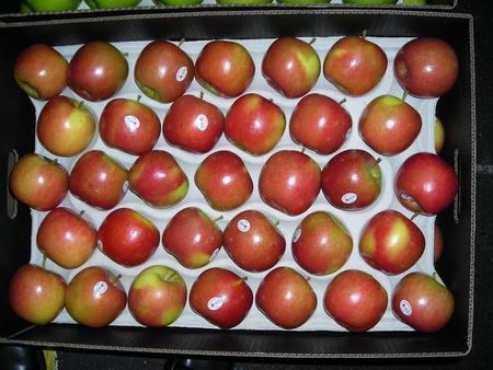 8reddelicious.JPG